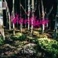 Verttina - Miero